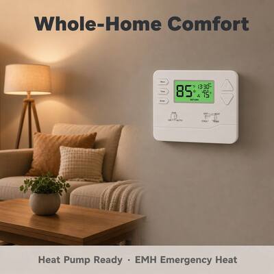 Riseem 1 Ampere pro Anschluss Klemmenbelastbarkeit Wärmepumpenthermostat für den Betrieb in konventionellen oder Wärmepumpenanwendungen
